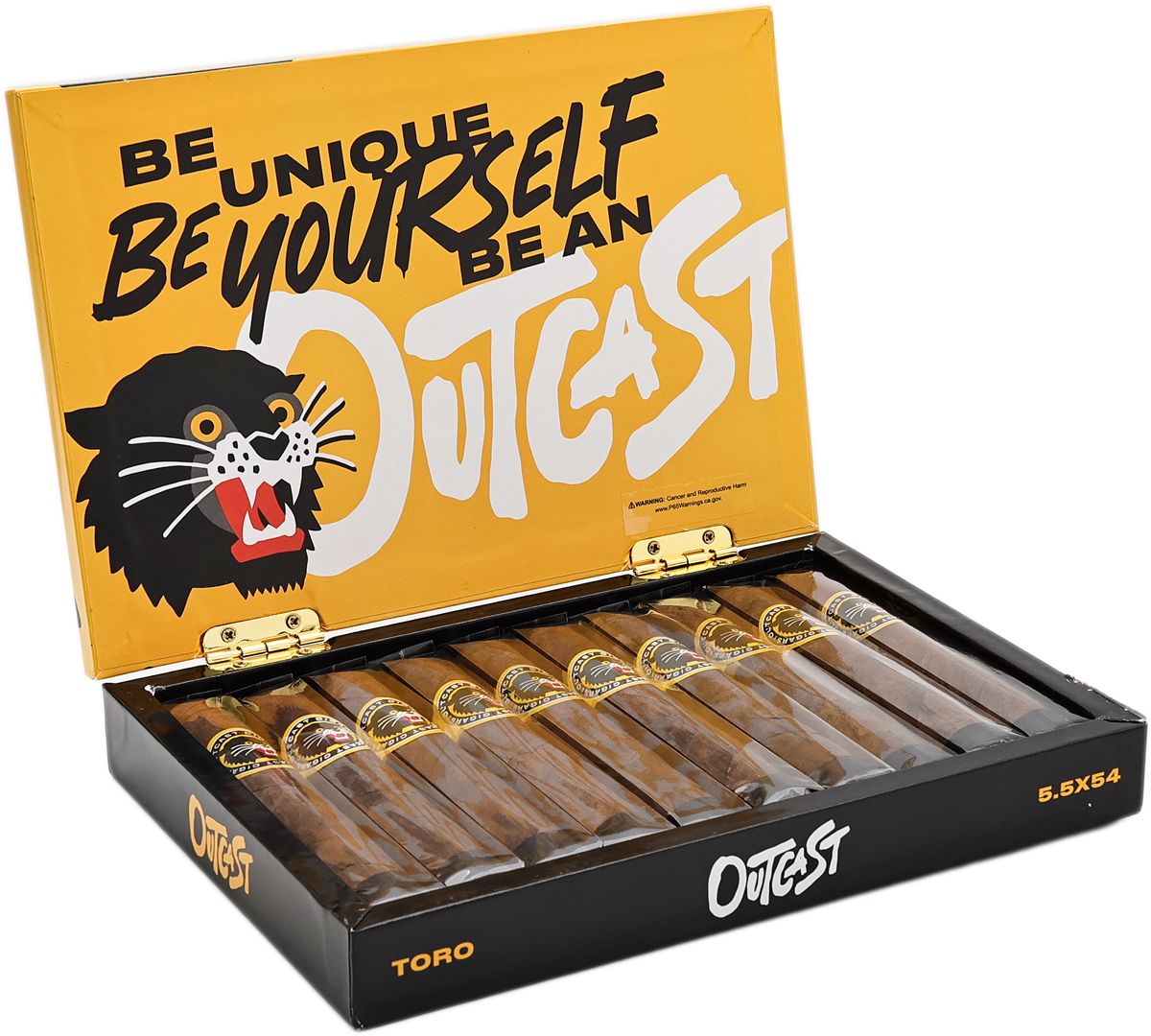 Outcast Toro