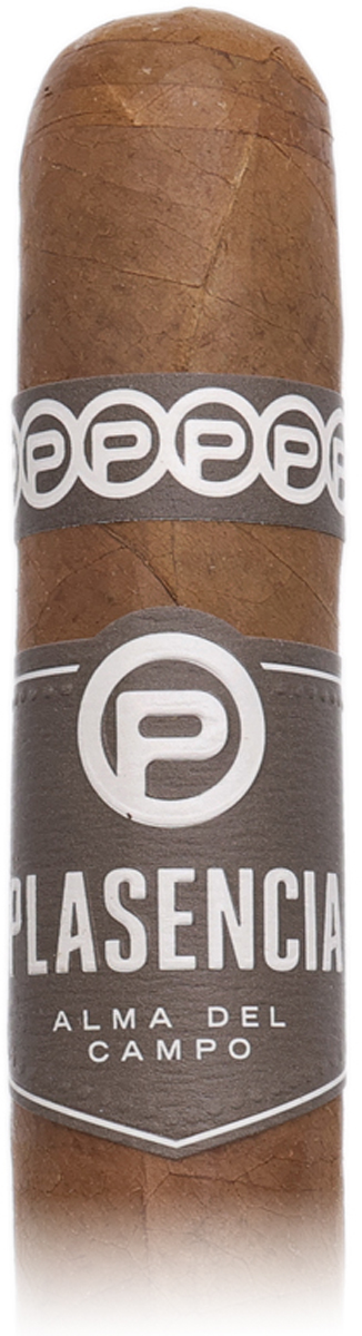 Plasencia Alma del Campo Tribu (5 pack)