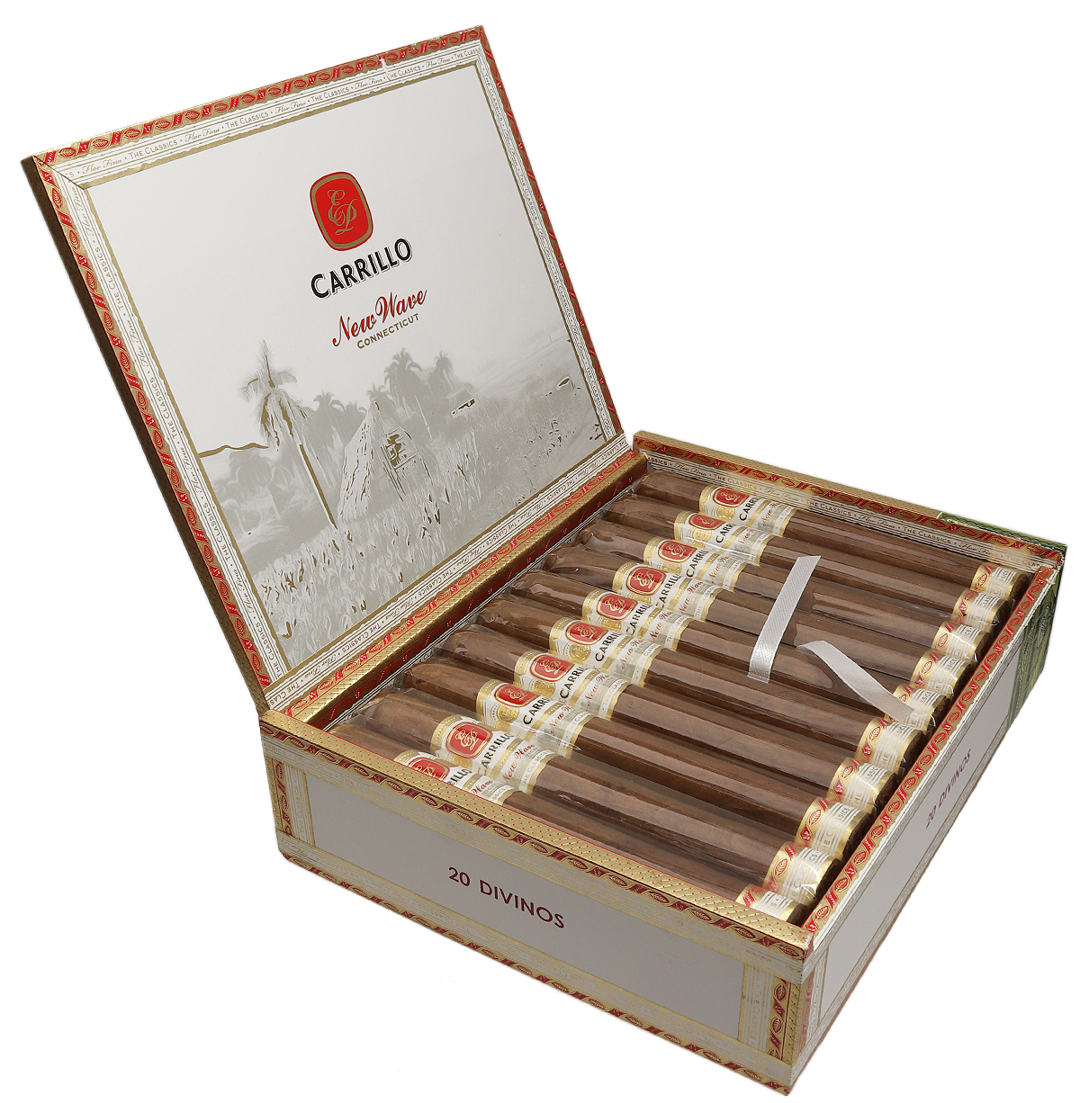 Casa Carrillo New Wave Connecticut Divinos