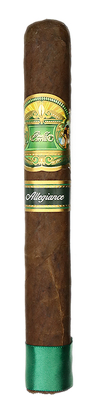 Casa Carrillo Allegiance Wingman