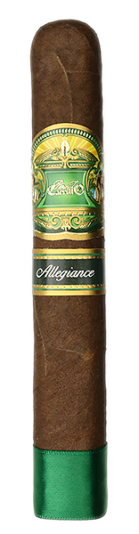 Casa Carrillo Allegiance Chaperone
