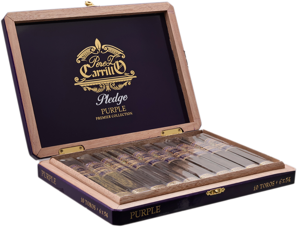 Casa Carrillo Pledge Purple