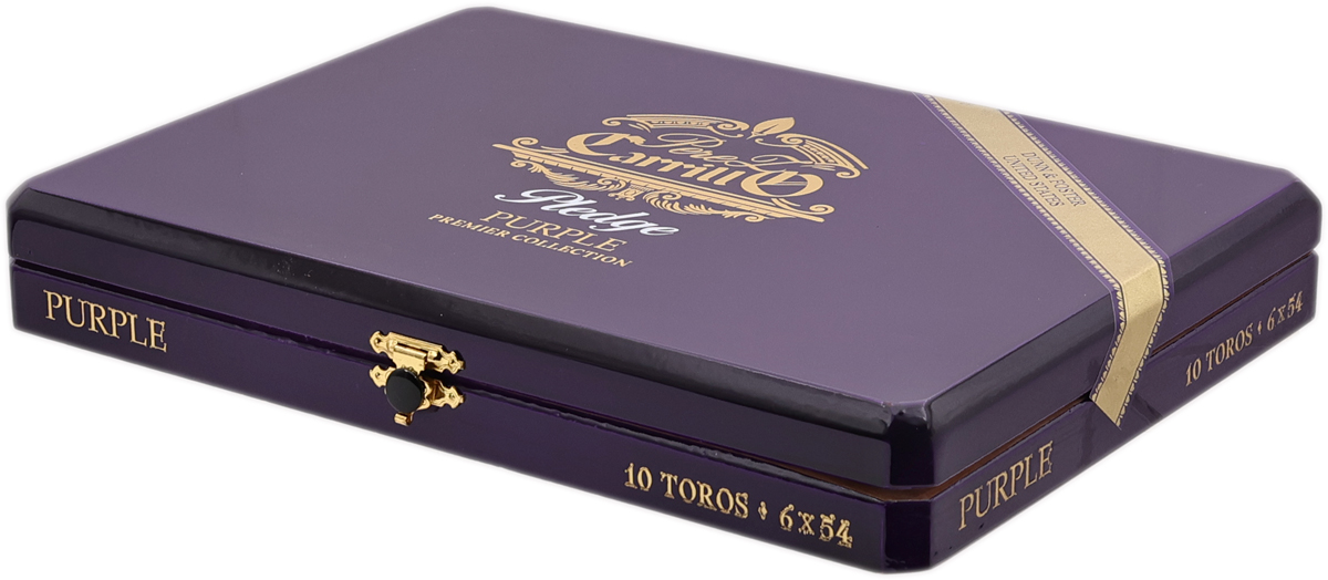 Casa Carrillo Pledge Purple