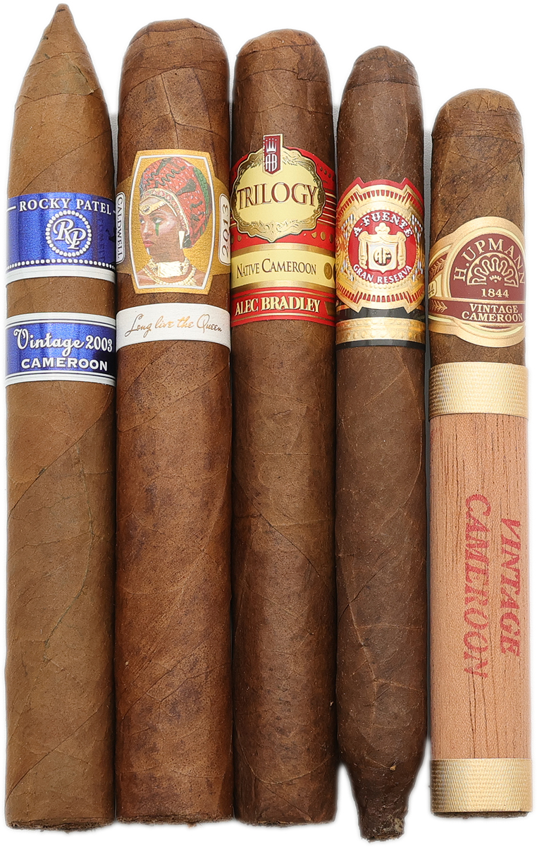 Sampler Packs That