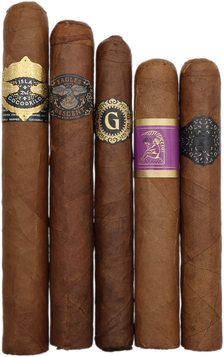 Sampler Packs Warped Sampler (5 Pack)