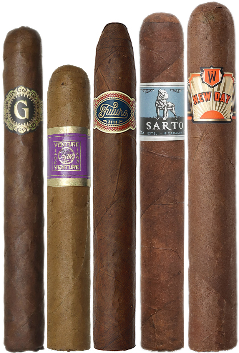 Warped Warped Sampler (5 Pack)