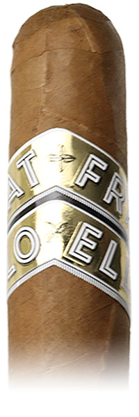 Fratello Oro Shorty