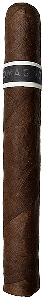 Roma Craft CroMagnon Anthropology