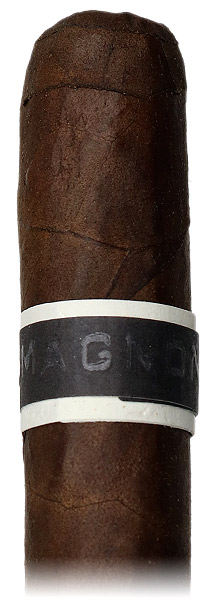 Roma Craft CroMagnon Anthropology