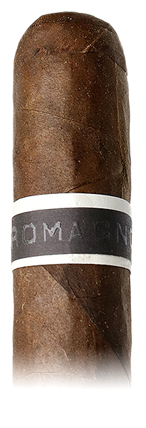 Roma Craft CroMagnon Cranium