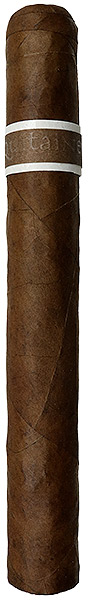 Roma Craft CroMagnon Aquitaine Anthropology