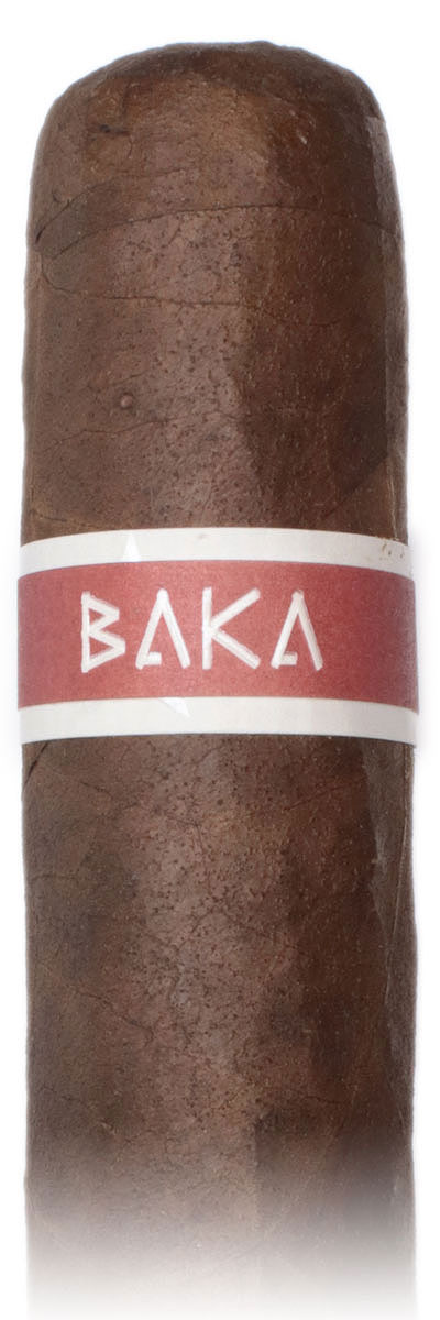 Roma Craft Baka Ota Benga