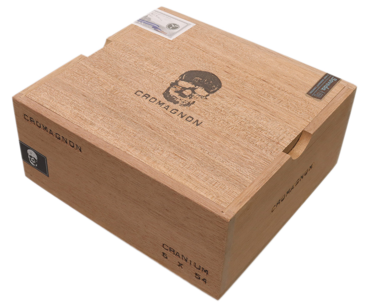Roma Craft CroMagnon PA Cranium