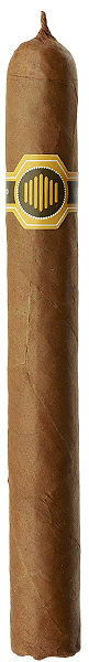 Warped La Colmena No. 44