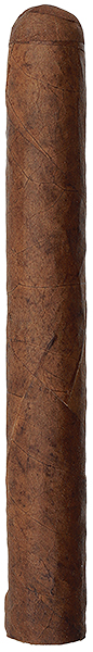 Warped Cabinet Selección de Warped: Lirio Rojo