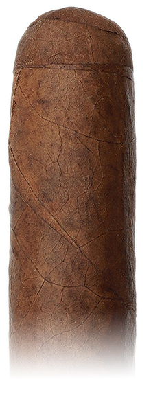Warped Cabinet Selección de Warped: Lirio Rojo