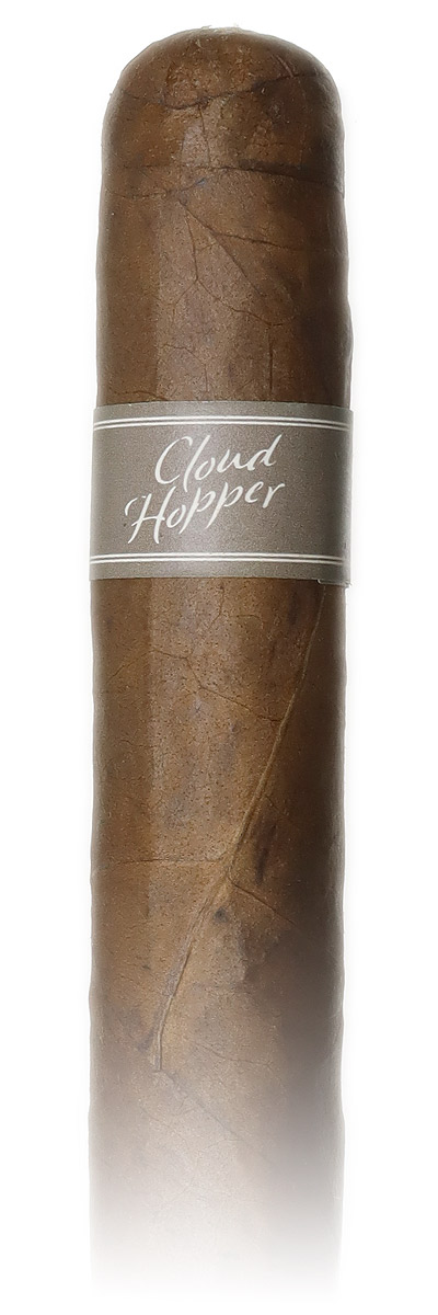 Warped Cloud Hopper No. 485
