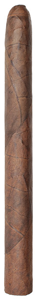 Warped Cabinet Selección de Warped: Lirio Rojo 2019