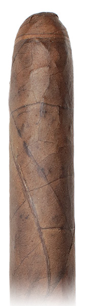 Warped Cabinet Selección de Warped: Lirio Rojo 2019