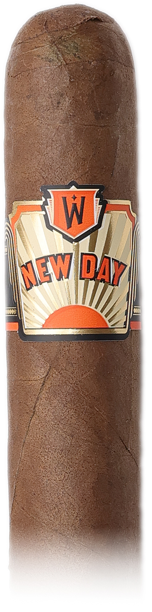Warped New Day Cañonazo