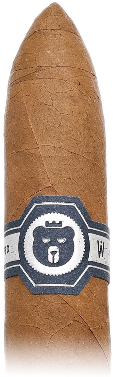 Warped El Oso Blanco