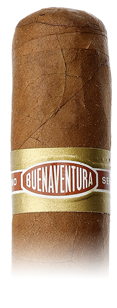 Curivari Buenaventura BV 500