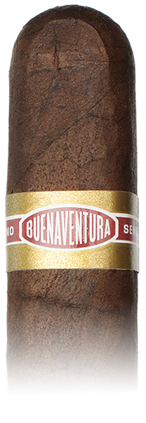 Curivari Buenaventura Pralines P554