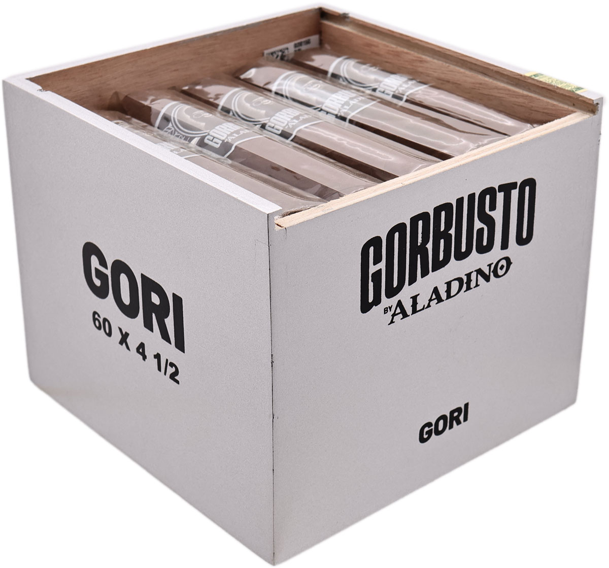 Aladino Gorbusto Gori