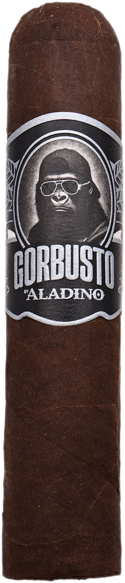 Aladino Gorbusto Gori