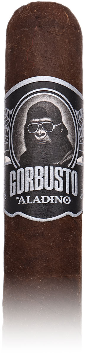 Aladino Gorbusto Gori