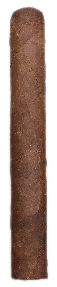 Lost & Found Plume Toro
