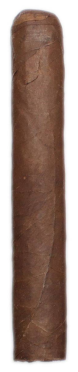 Lost & Found Plume Roqusto
