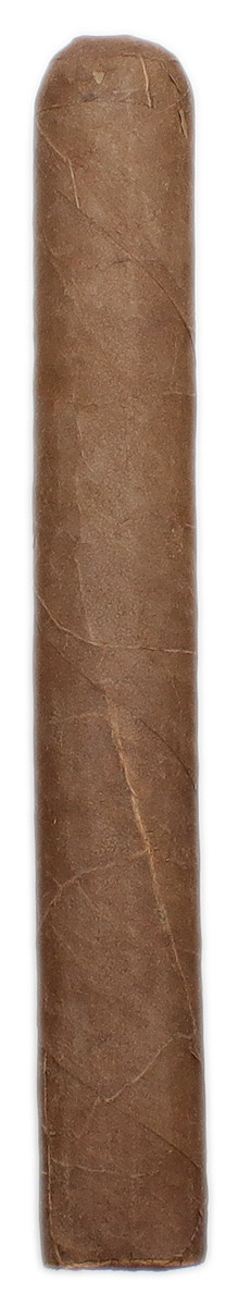 Lost & Found Malparidos Toro European Release