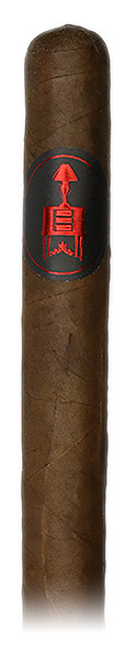 Lost & Found One Night Stand Toro