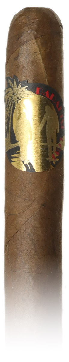 Lost & Found Paradise Lost Toro