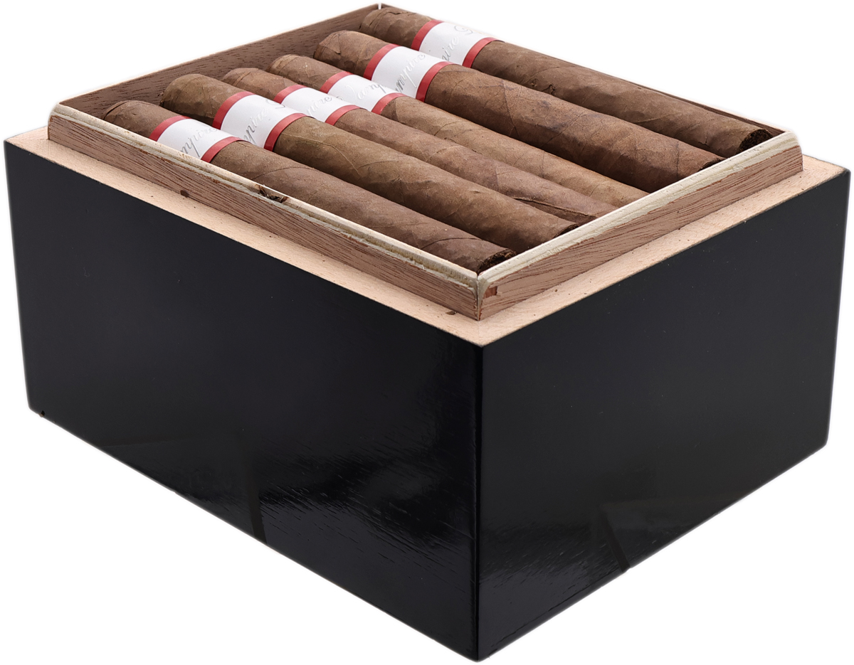 Viaje Vampire Dust Silent Invitation 