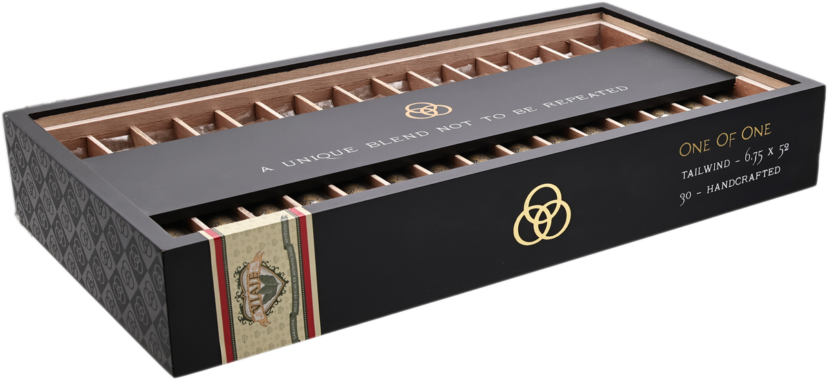 Viaje One of One Tailwind Perfecto