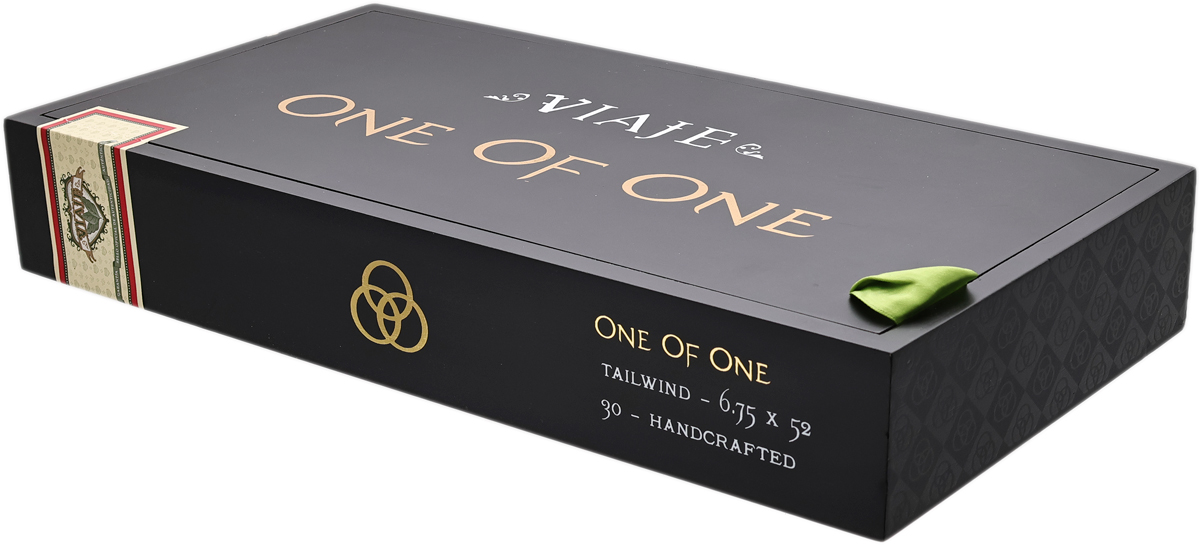 Viaje One of One Tailwind Perfecto