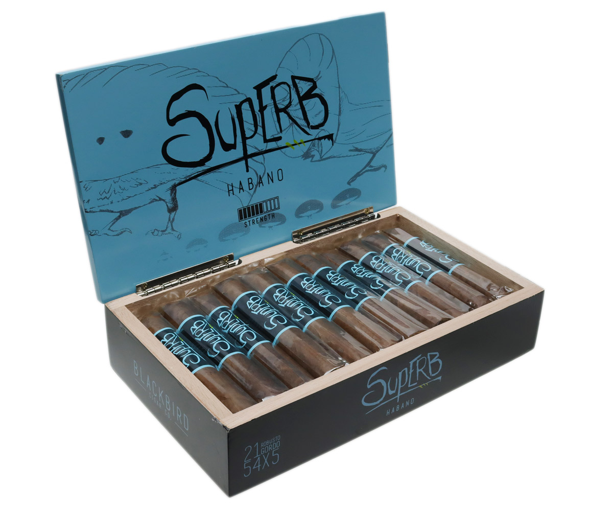 Superb Robusto Gordo - Blackbird Cigars | Smokingpipes.com