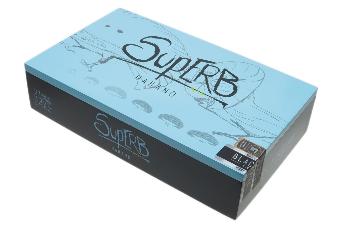 Superb Robusto Gordo - Blackbird Cigars | Smokingpipes.com