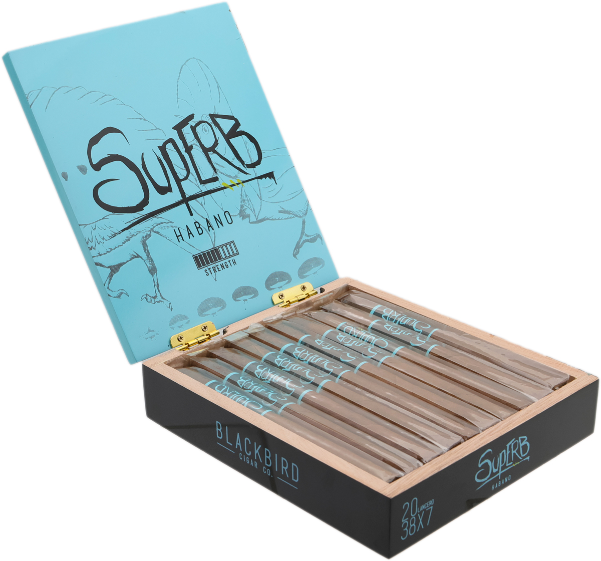 The 12 Day 2025 Smoker Advent Calendar | Blackbird Superb Lancero Cigar | Daily Reader