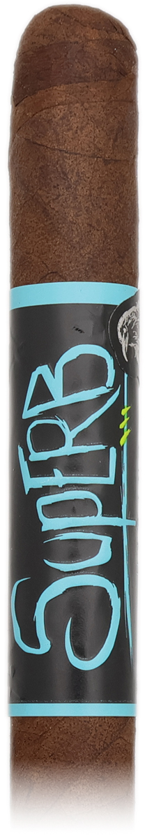 Cozy Reading & Smoking 2025 | Daily Reader | Blackbird Superb Lancero Cigar