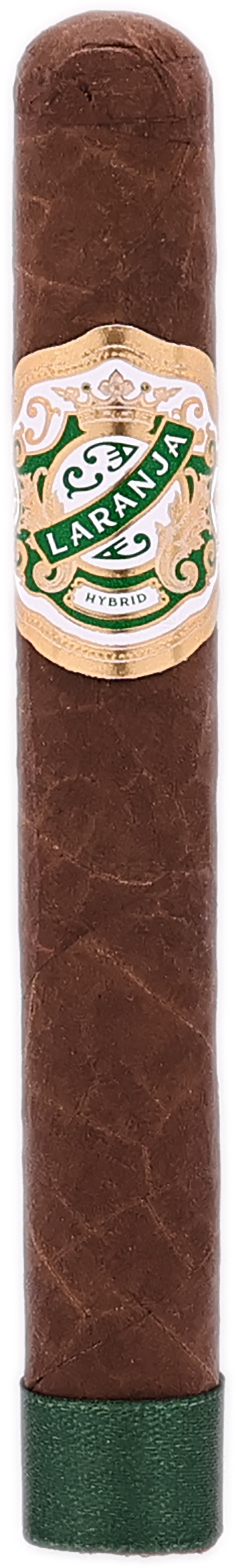 Espinosa Laranja Hybrid Toro