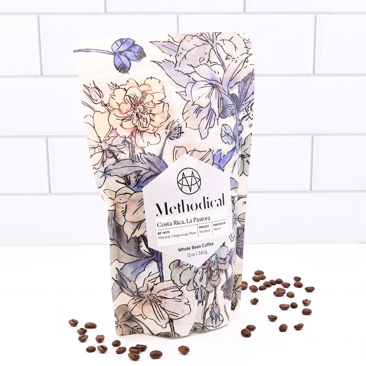 Methodical Costa Rica, La Pastora 12oz