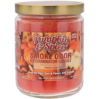 Home Fragrance Smoke Odor Exterminator Candle Pumpkin & Spice 13oz