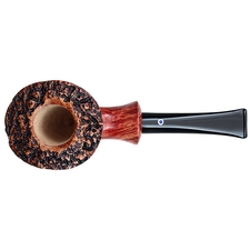 Ardor Marte Dublin Sitter