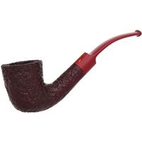 Ashton Brindle Bent Dublin (XX) (2026)