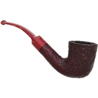 Ashton Brindle Bent Dublin (XX) (2026)