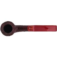 Ashton Brindle Bent Dublin (XX) (2026)