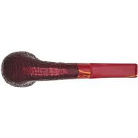 Ashton Brindle Bent Dublin (XX) (2026)